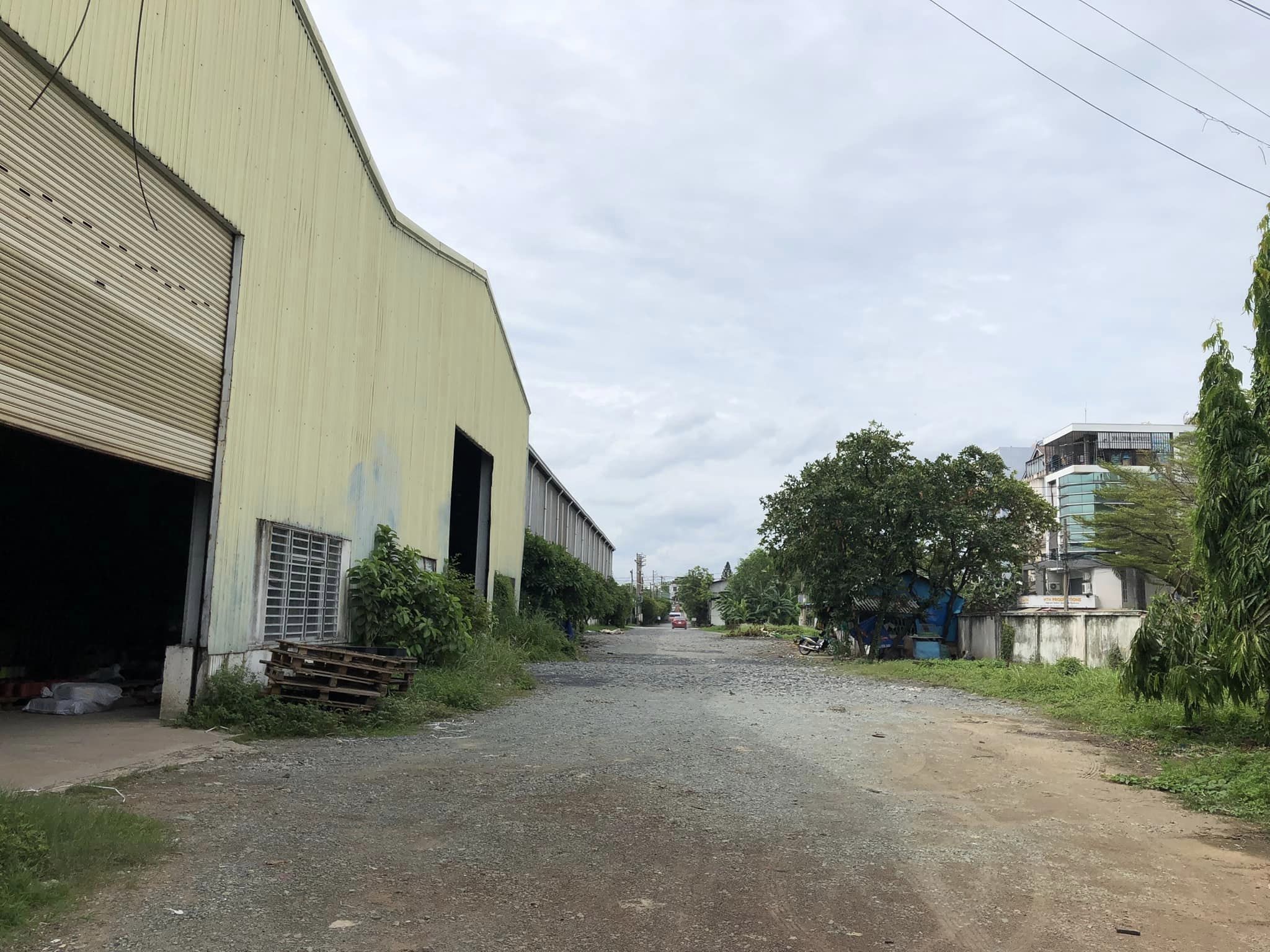 Cơ hội Sở Hữu Kho  Gần 1,7 ha Tân Thới Nhất 8, Q12, HCM - Dòng Tiền 1.5 Tỷ/th Chỉ 389 Tỷ - Ảnh 2